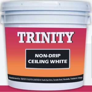 Non Drip Ceiling White 1gal
